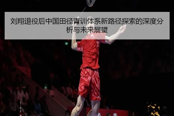 刘翔退役后中国田径青训体系新路径探索的深度分析与未来展望