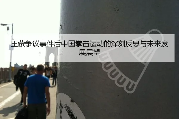 王蒙争议事件后中国拳击运动的深刻反思与未来发展展望