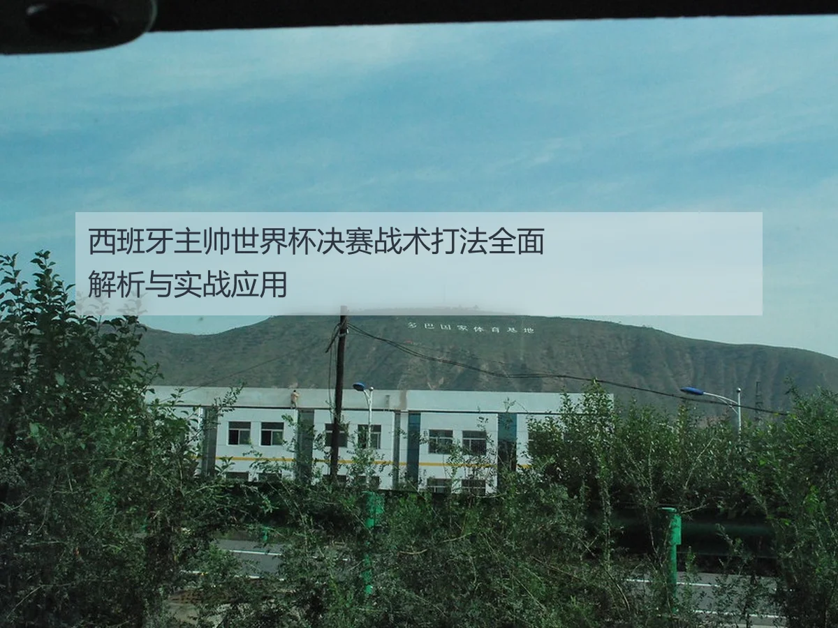 西班牙主帅世界杯决赛战术打法全面解析与实战应用